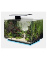 SF Quadro 40 Multi Colour